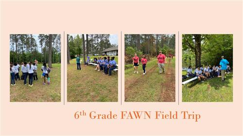 FAWN Field Trip