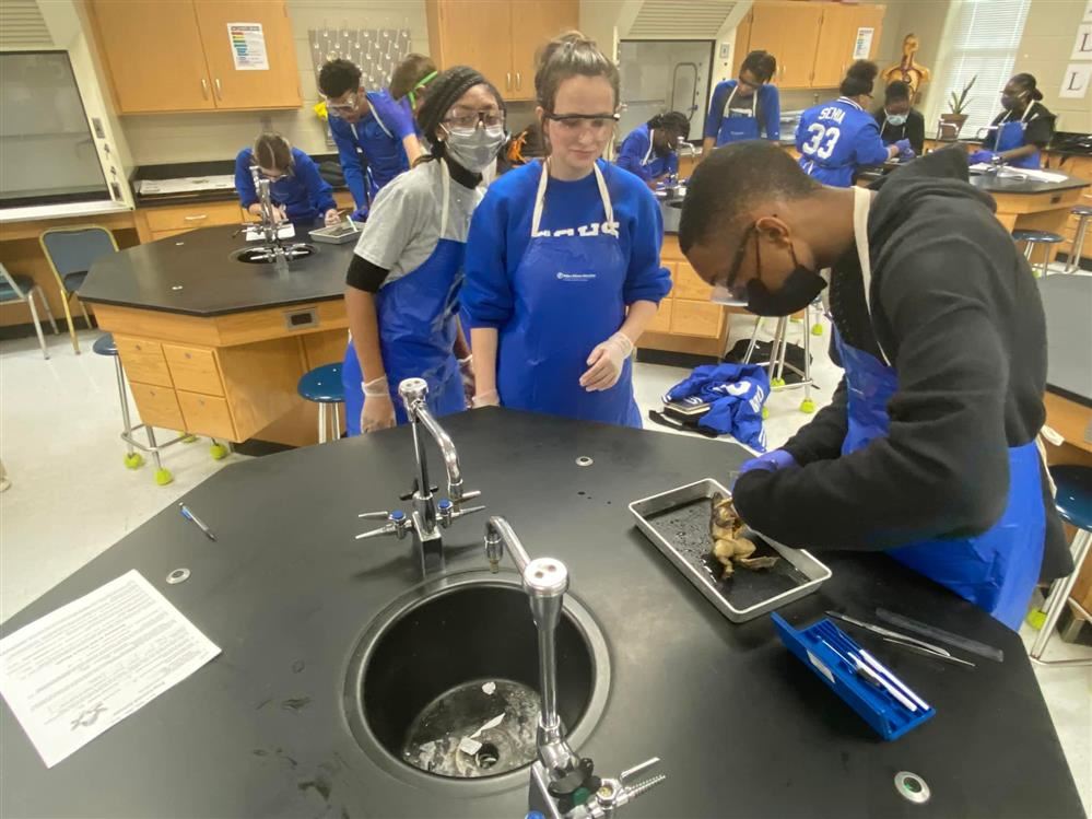  Biology Lab
